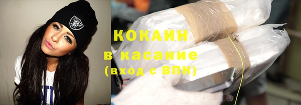 хмурый Алзамай