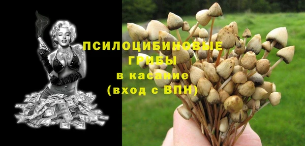 хмурый Алзамай