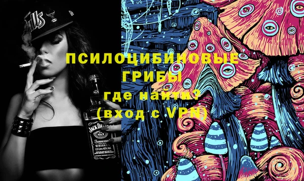 первитин Новозыбков