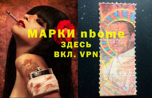 хмурый Алзамай