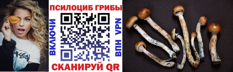 Галлюциногенные грибы ЛСД  Армянск 